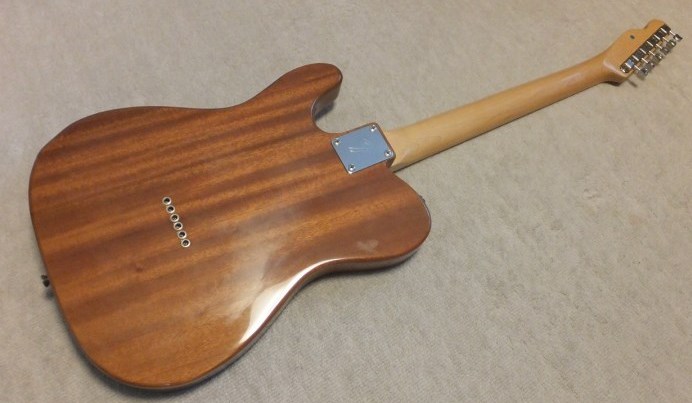 The Telecaster Thinlines The Telecaster Thinlines